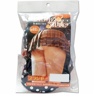 �֒f�̗̈�@�i�u���W���[�j�i����A�C�e���j