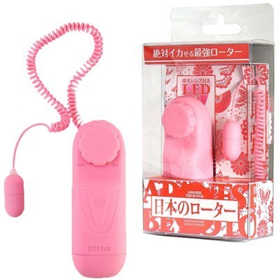 ���{�̃��[�^�[�i���[�^�[�j