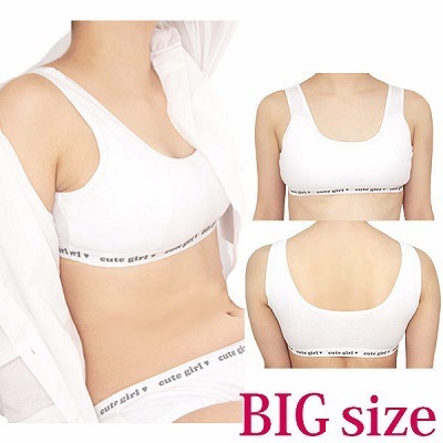 ���u�҂݃X�|�[�c�u���P�i�@�a�h�f�i�R�X�`���[���j