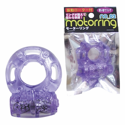 ���[�^�[�����O�@�i�Q�j�i�j���⏕�O�b�Y�j