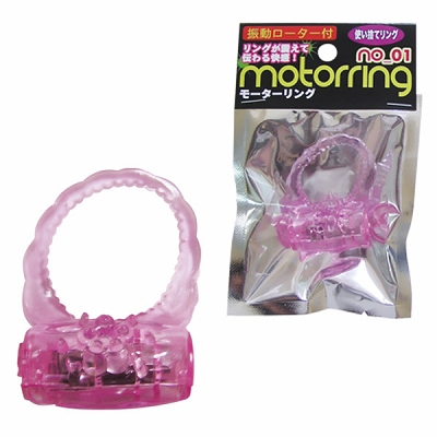 ���[�^�[�����O�@�i�P�j�i�j���⏕�O�b�Y�j