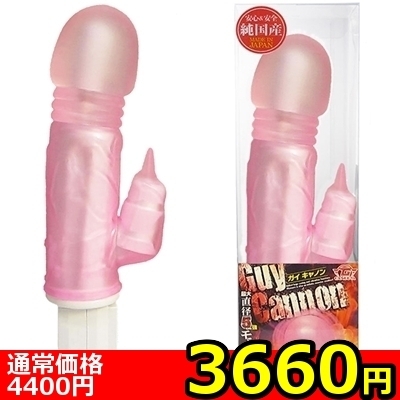 �y�R�U�U�O�~�����ʌ���z�K�C�L���m���@�i�s���N�j������l�l�P�_���聄�i�����������i�j