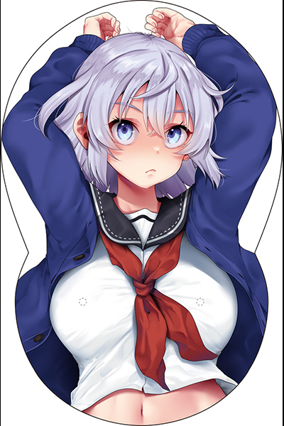 �����ς��{�[�h�J�o�[�@�S�U�@�i�C���X�g�F�哹���j