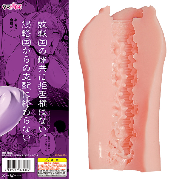 ���J�̎���@�s�g�d�@�g�n�k�d�@�i�V�X�^�[�G�C���X�j